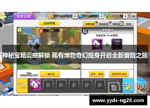 神秘宝箱震撼解锁 稀有宠物奇幻现身开启全新冒险之旅