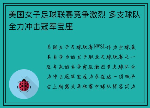 美国女子足球联赛竞争激烈 多支球队全力冲击冠军宝座